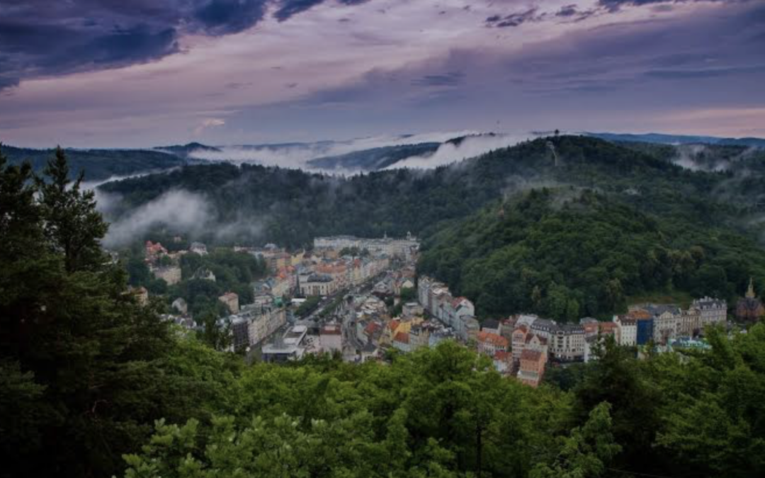 La neutralité, feuille de vigne de l’impérialisme suisse